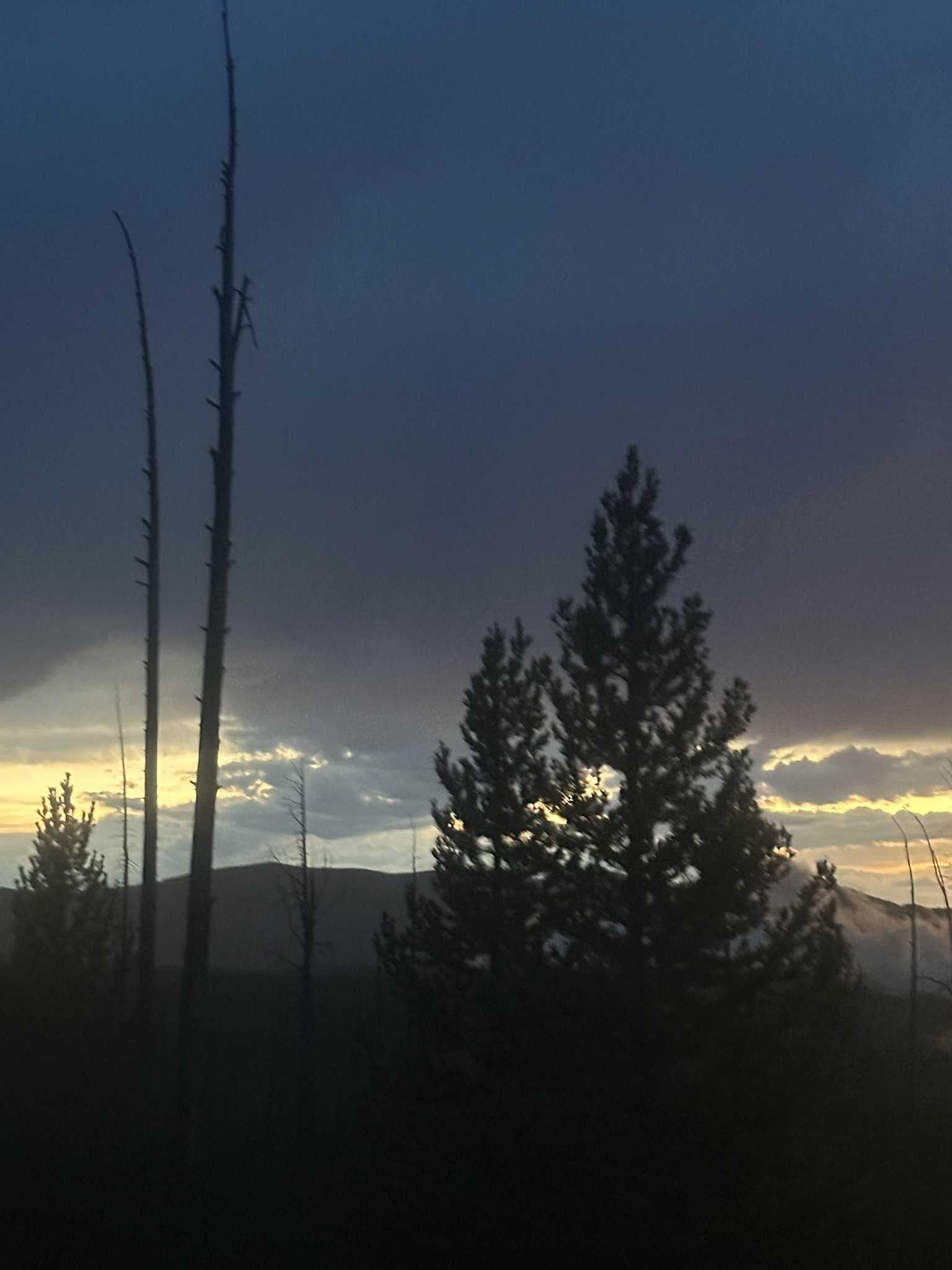 Yellowstone And Grand Teton National Parks - Image 1220